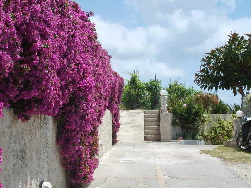 Villa Natalina Forio (Isola d'Ischia) Exterior foto